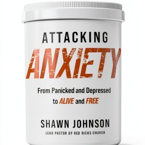 Depression Healing Devotional Kindle eBook by Thomas Nelson 256 Pages-0