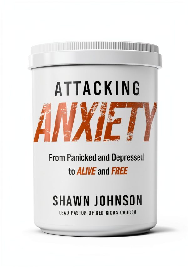 Depression Healing Devotional Kindle eBook by Thomas Nelson 256 Pages-0